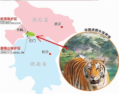 �����ѡ���Ż������������