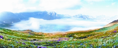 �й���Э������񽱵�������١�