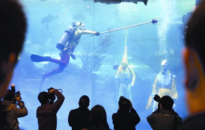 �����������