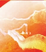 ����ؼ��ʢڽ�̲����