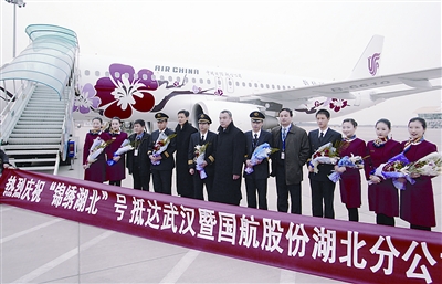 �׼ܡ������š��ʻ�ɻ�����