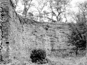 ���ݹų��롰ʮ���塱����ַ�����滮