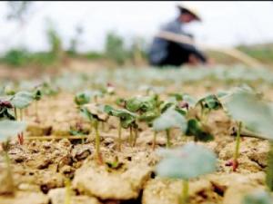 ���� ����ʡ����֪ͨȫ������