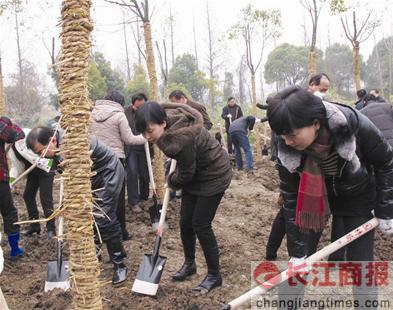 ֲ��ӭ��������