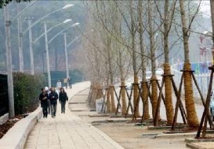 3.6�ڡ����̡�43.9�����人���