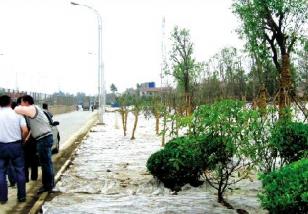 ��ɫ�����������