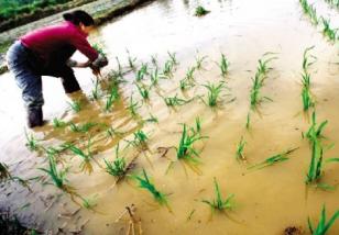 ר�����ѣ�����Ҫ�����Լ�ת ���������������