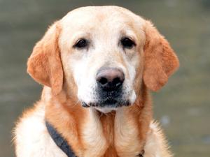 ��Ȯ�����ơ�΢���ȷ����� ��12��1��ը�����ѳ�4����ըҩ