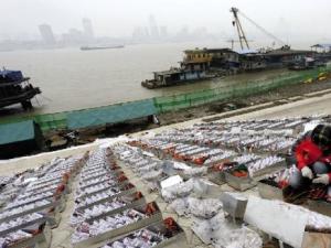 �������ؼ����������人ӭ���������