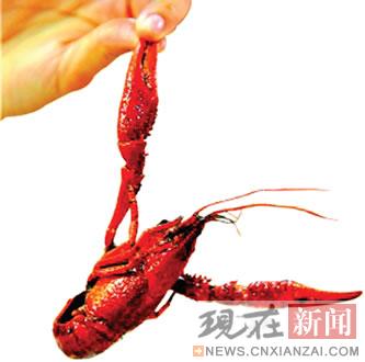 ȫʡ���С��Ϻ��ˮ��Ʒ �����ܽ⡱ԭ�����޶���