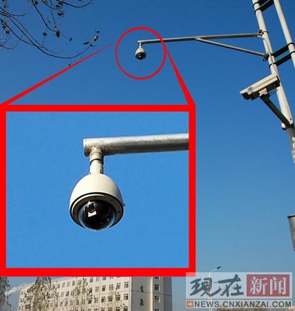 ˾�������������ۡ������ų���