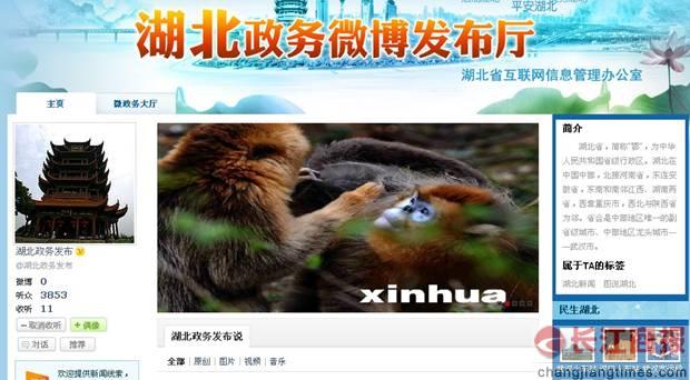 ��������΢�����������»����»�΢������