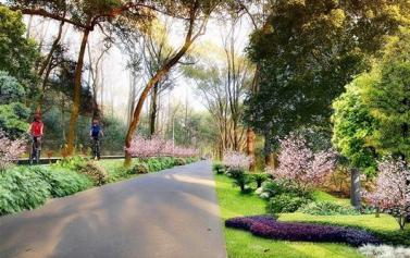 �人�����������̵�ʾ���ο���