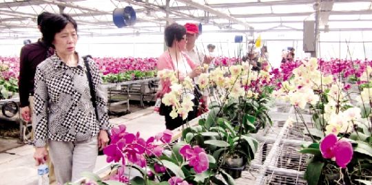 �Ϲ��߲˴��ϡ����ο쳵��