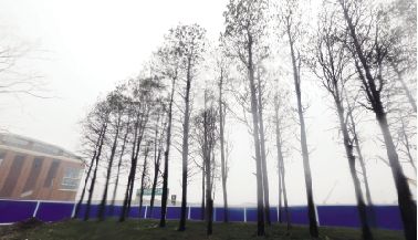 ԰��԰��·Ϊ50��ɼ�������䡱