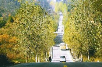 2019������ƶ������ƶ