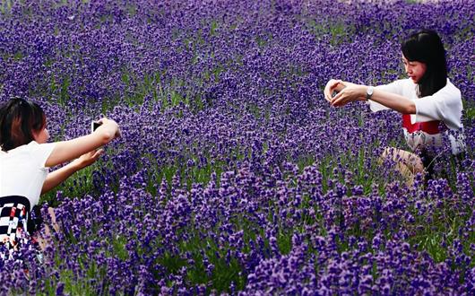 �人Ͷ16�ڽ�������󻨲�԰