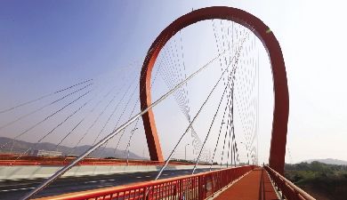 ��Ⱦ������ſ���ͨ��