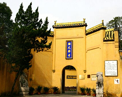 ��Ԫ�µ�5�Ҿ���������