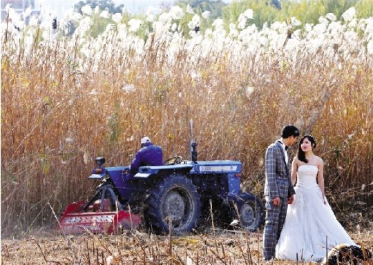 �人��̲«���ڣ����͹��ĳ�����Ƭ