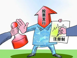 ������ʵ�й�Ʊ��������ע����