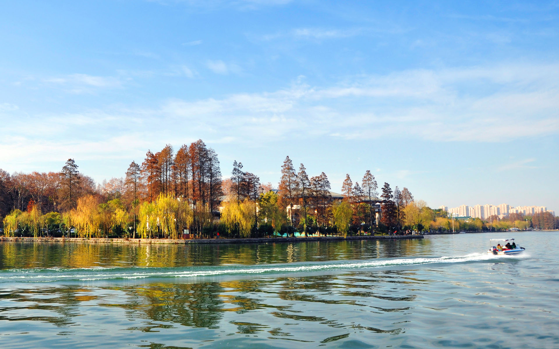 ǰ8�����人����������������ͬ����37��