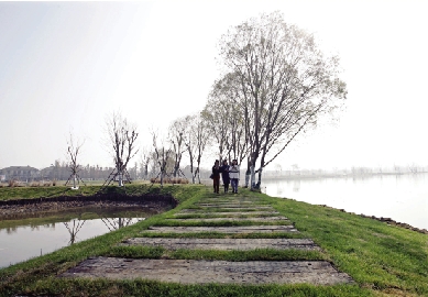 ����������ٽ�ͨ ���鶼��������