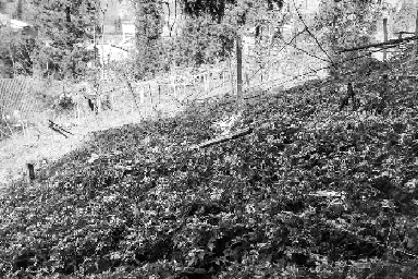 ��ҩ����ƶ�������ϡ���̬��ƶ��·