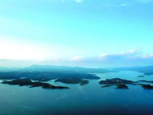 15���������������11��Ͷ��