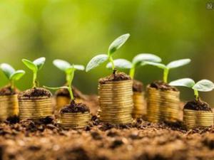 16����:�������Ͷ������ �ƽ�ʵʩ����ǿ��ս��