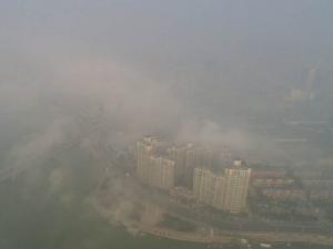 ����4�Ƿ�������Ⱦ����Ԥ��