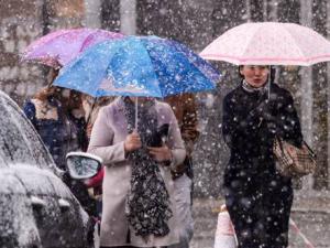 1��3��������ѩ��������ɺ���38������  ֱ�Ӿ�����ʧ7.23��Ԫ