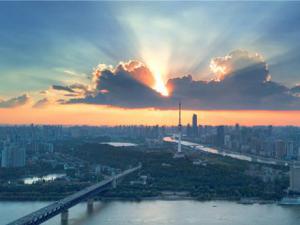 ȥ��3�����鰸������������Ŀ������