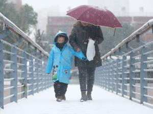 ��ǰ���½���ʷͬ��ƫ�� ��������̨������������Ԥ�� 