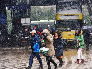 ���ڵ�����ѩ������ɺ���ֱ�Ӿ�����ʧ1.13��Ԫ