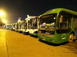 2020����人��ɫ����������70%