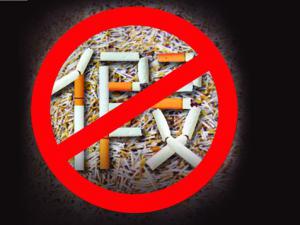 ��쫷��ж������������̲�ר���г�  �人�ƻ����̰���19��