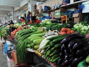 �ٽ����ڲ˼��ȶ� ˮ��Ʒ�۸�����