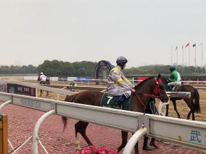 2018�й����人�ٶ��������������쿪��