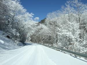 �����ˡ���Ů�ڵ���Ů�Կ����������ũ�ܾ���