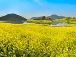 ������Ѩ�ԡ��Ͳ˻����������������