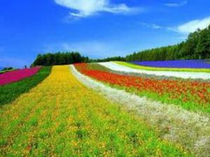 �人�ܱ�8�ǽ�����̬ũҵ����Ȧ