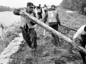 ������÷���������6�����