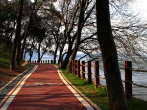 �人�����̵����������缶�����