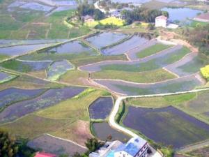 ʯ����10�����ֵ��ҵ�ػ���̬