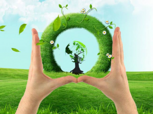 ����ݻ�����Լ̸ ���ϸ��衱����ֹ�˾�����������