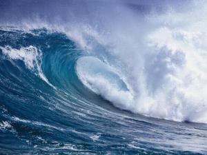 ����ʮһ�� ���Ƿ绪��ï����ͷ