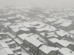 2018��ڶ�����ѩ����������Ϯ