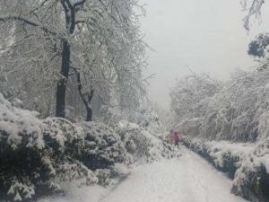 ���������ش������ֺ�����Ӧ����Ӧ