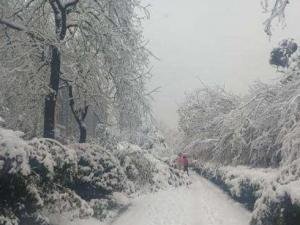 ����ʡ��������Ա�˲�����ָ������